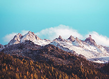 雅典奥运会男篮集锦：姚明39分13篮板，中国力克新西兰